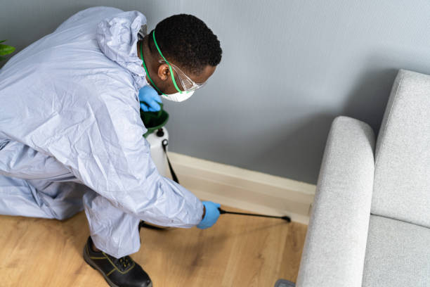 Best Residential Pest Control  in Havana, IL